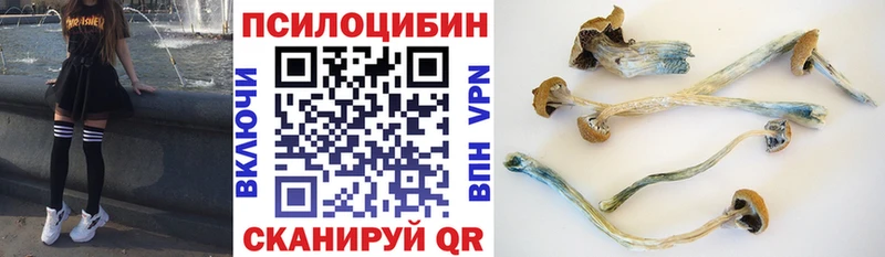 наркотики  сайты даркнета клад  Галлюциногенные грибы Magic Shrooms  Луга 
