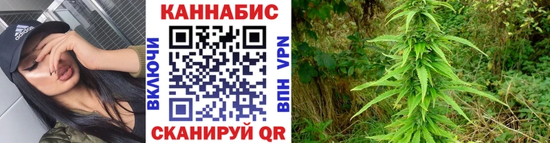 Конопля OG Kush  мега вход  Луга 